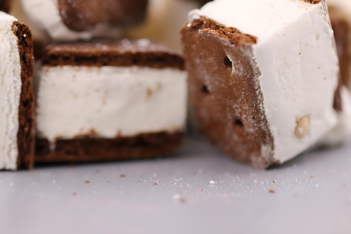 Planet Xpress Freeze Dried Cookie Dough Space Sandwiches